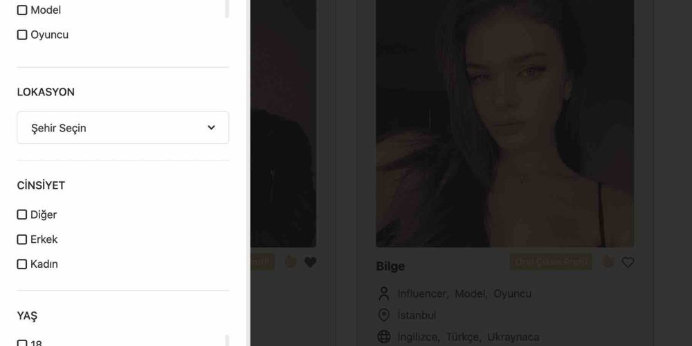 stepfilters stepfilters